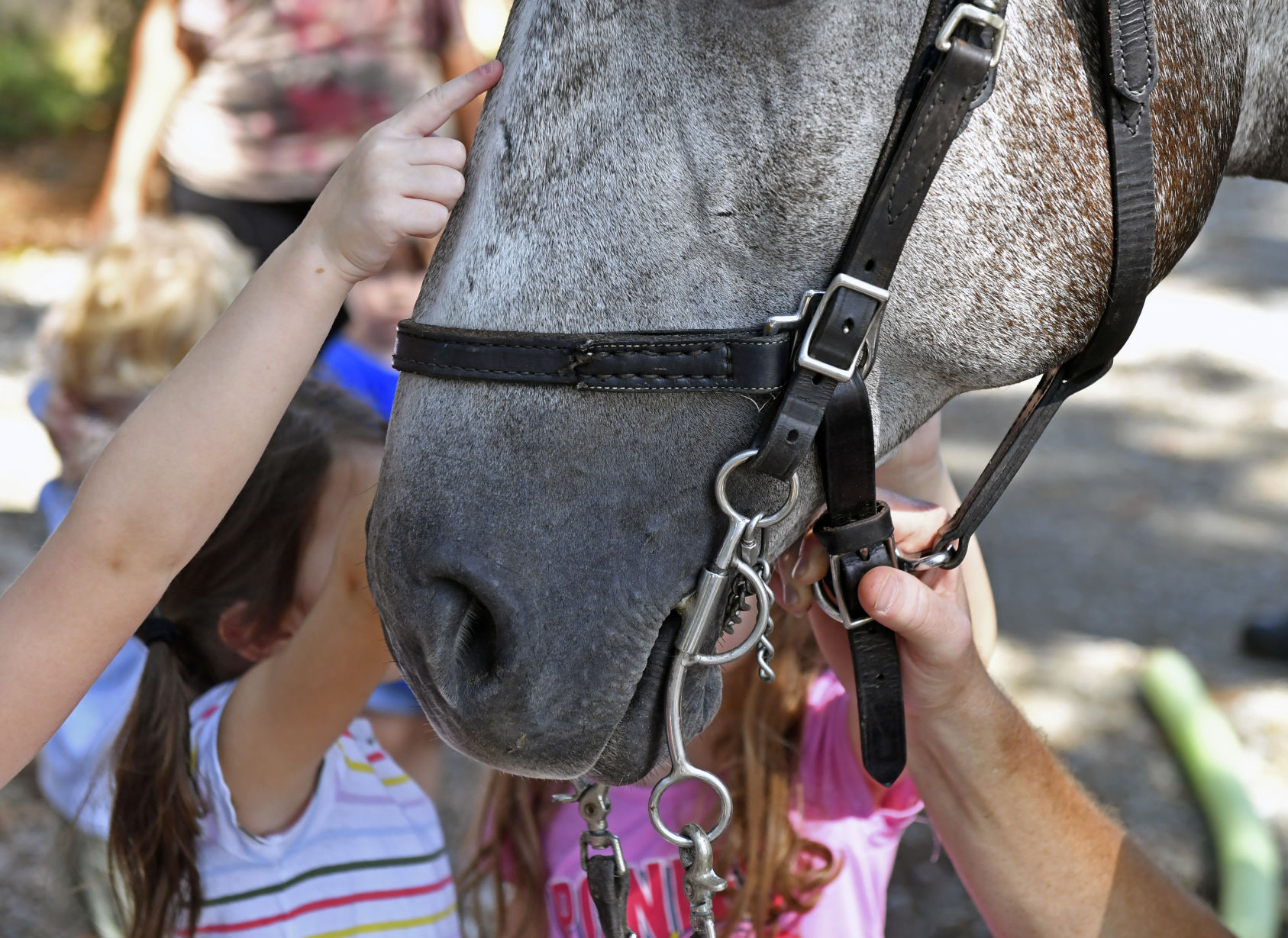 BR.brpdhorses.adv HS 040.JPG